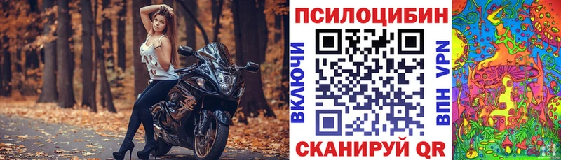 Галлюциногенные грибы Psilocybe где купить наркоту Касли